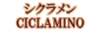 ���å��󥷥�륪���롦��������