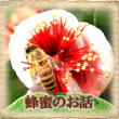˪̪�ʤϤ��ߤġ�miele�ˤΤ���