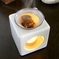 �����륦�����ޡ�����Ѥ��������γڤ����� ���᡼��