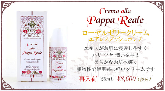 ���[�����[���[�N���[���G�A���X�v�b�V���|���v�ē���